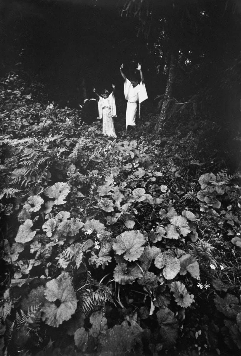 Eikoh Hosoe, Kamaitachi #20, 1968