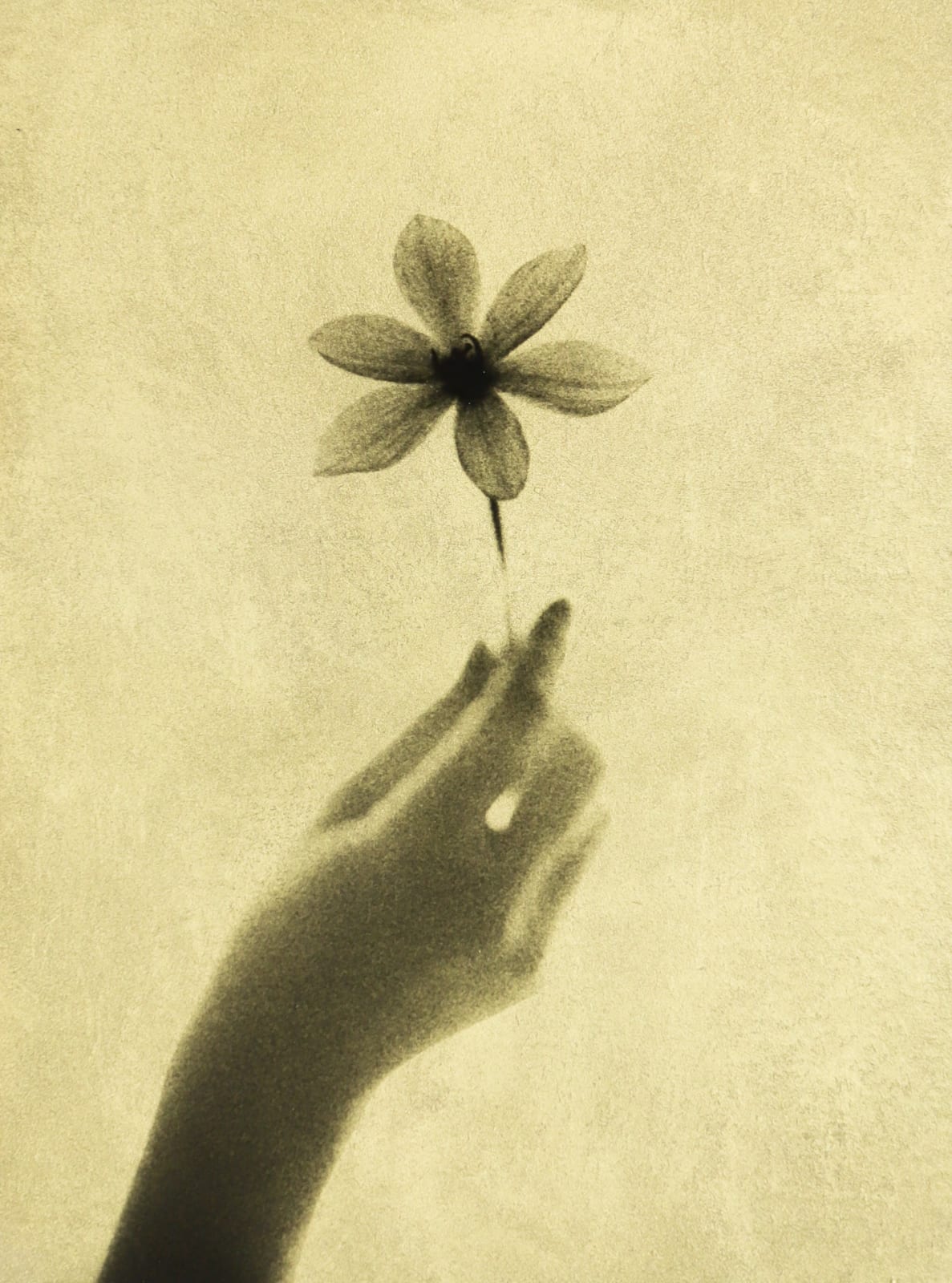 Naohiro Ninomiya, Glanage-46, 2021