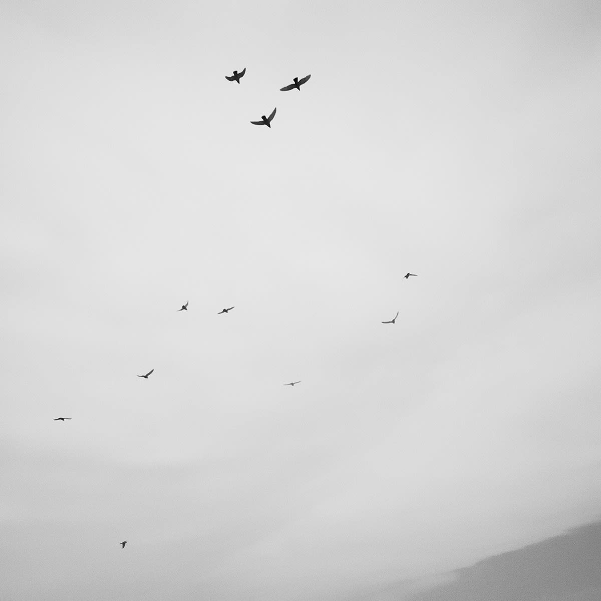 Toshiya Watanabe, Beyond what you see #12, 2021