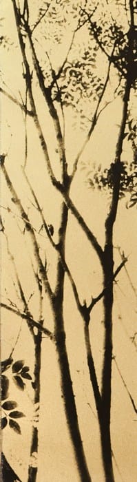 Naohiro Ninomiya, Glanage-27 , 2019