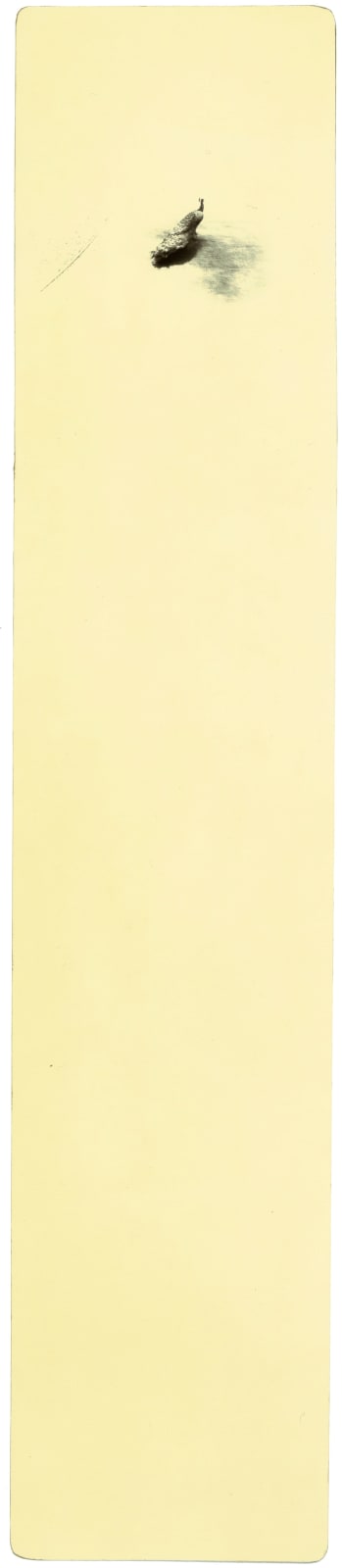 Miho Kajioka, BK0171, 2017