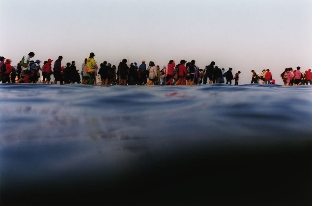 Asako Narahashi, Jindo 410, Korea, 2009