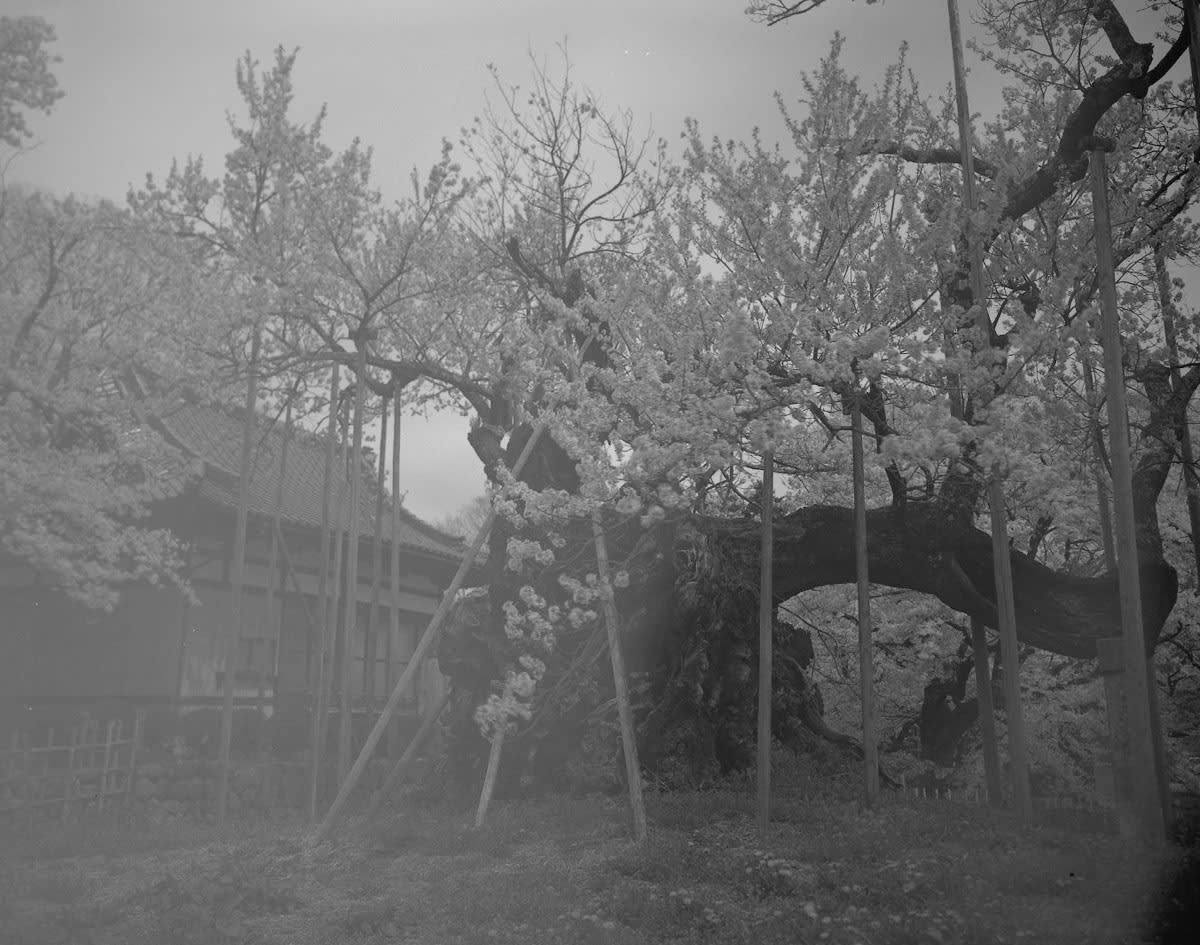 Keiichi Ito, Mukawa Yamanashi-ken, 2012