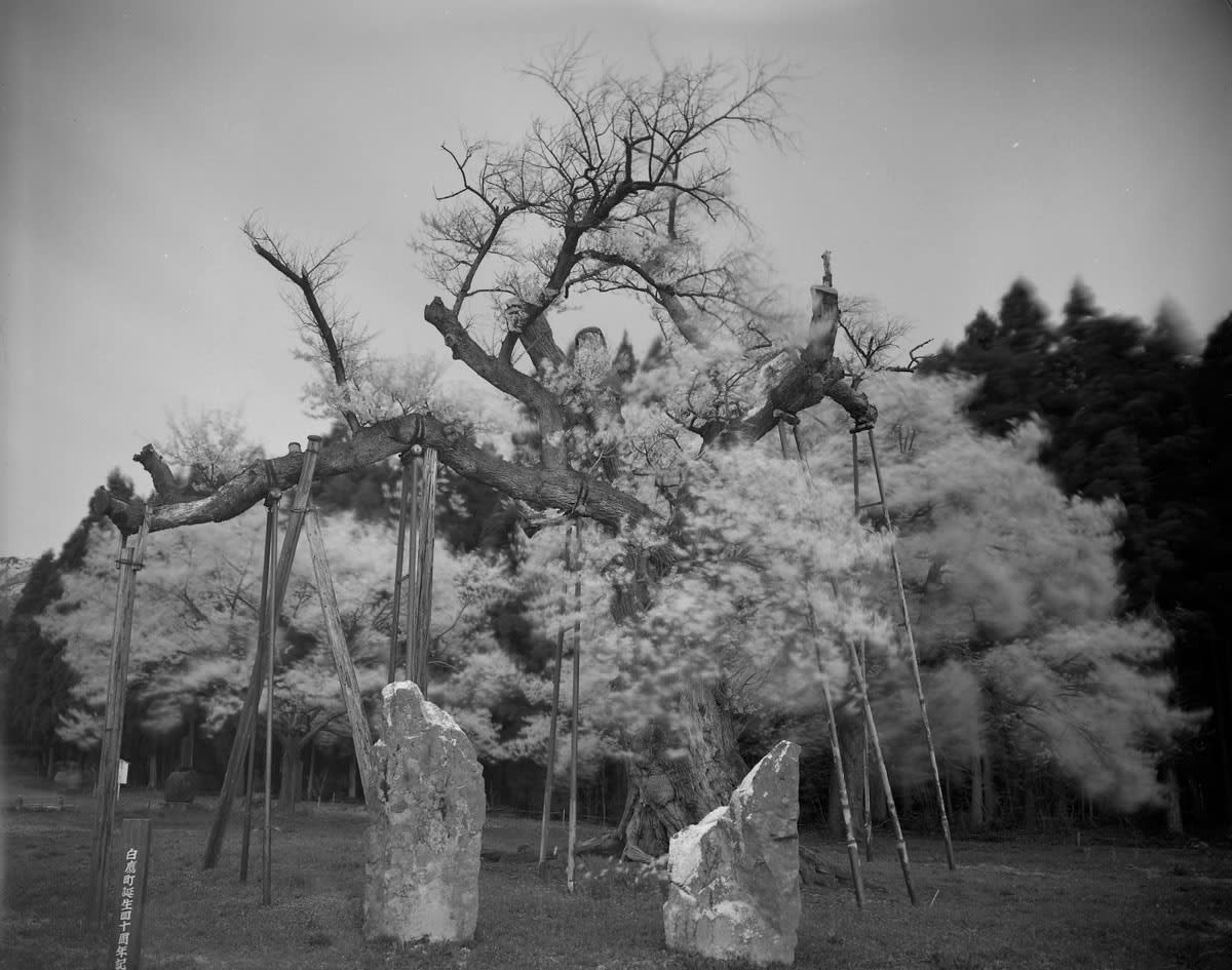 Keiichi Ito, Okitama Yamagata-ken, 2012