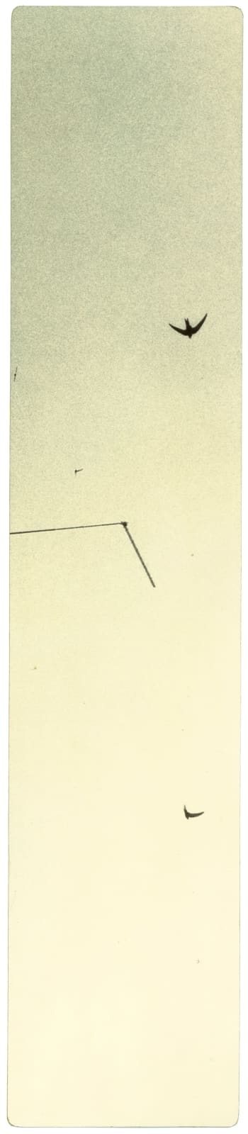 Miho Kajioka, BK0353, 2018