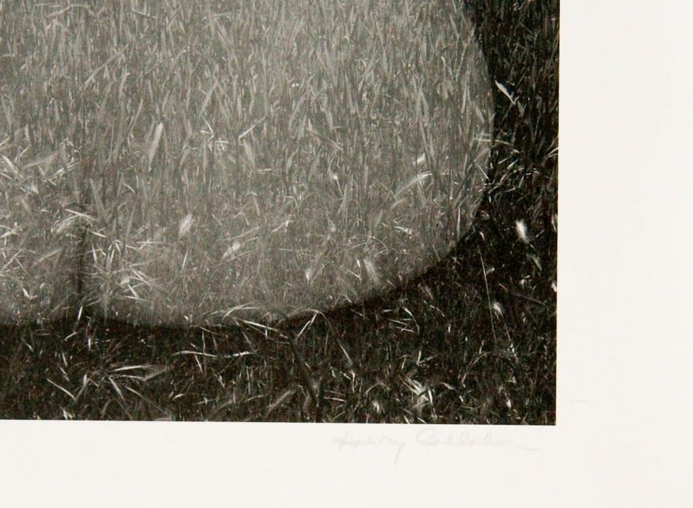 Various International Artists, Harry Callahan - Eleanor, Aix-en-Provence, France, 1957-58