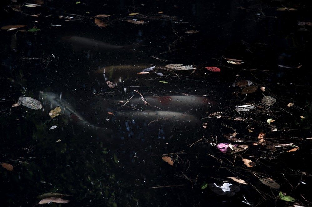 Toru Ukai, ?? - Interface/Interference #69, 2015