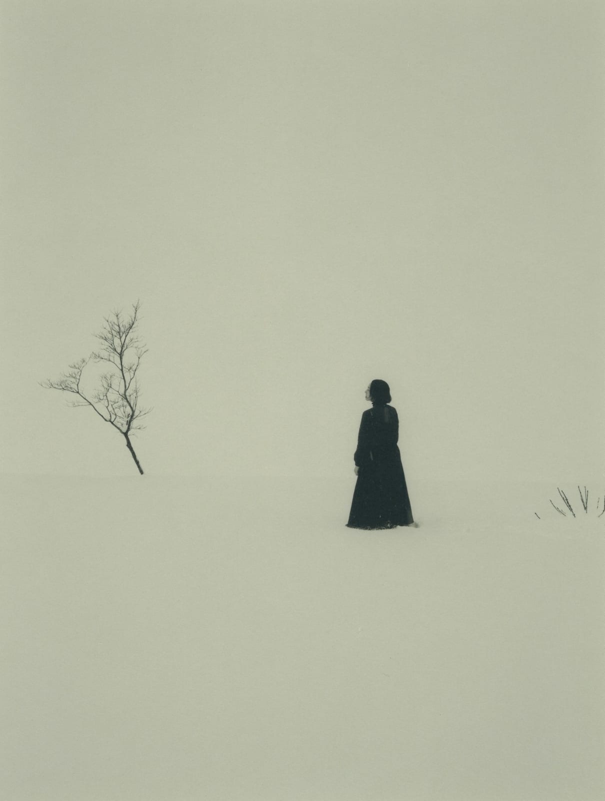 Sayuri Ichida, Phoka #051, 2025