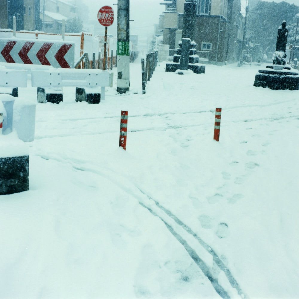 Mikiko Hara, Untitled, from These are Days (plate #073), 2014