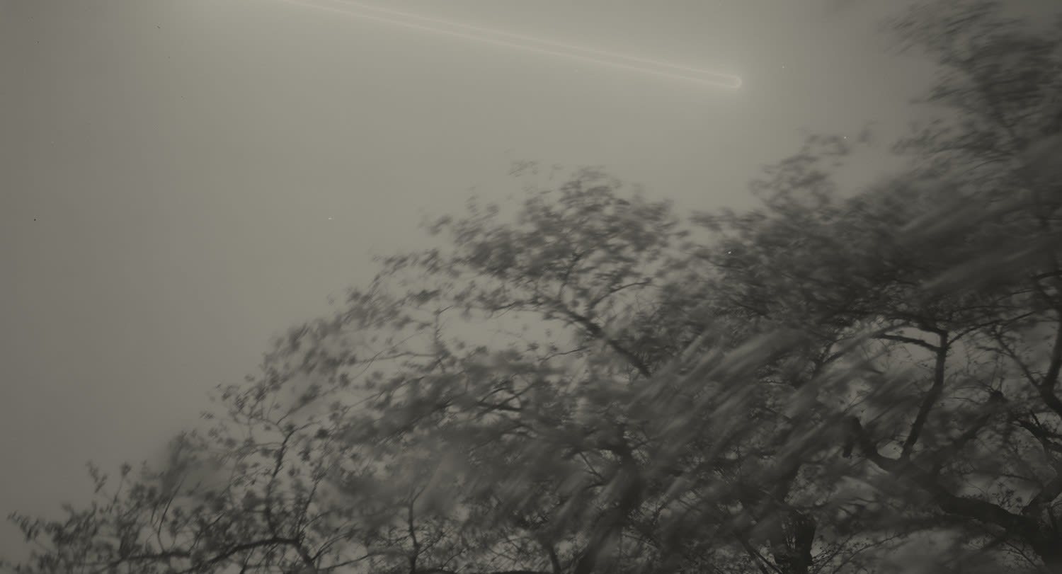 Keiichi Ito, F1361, 2019