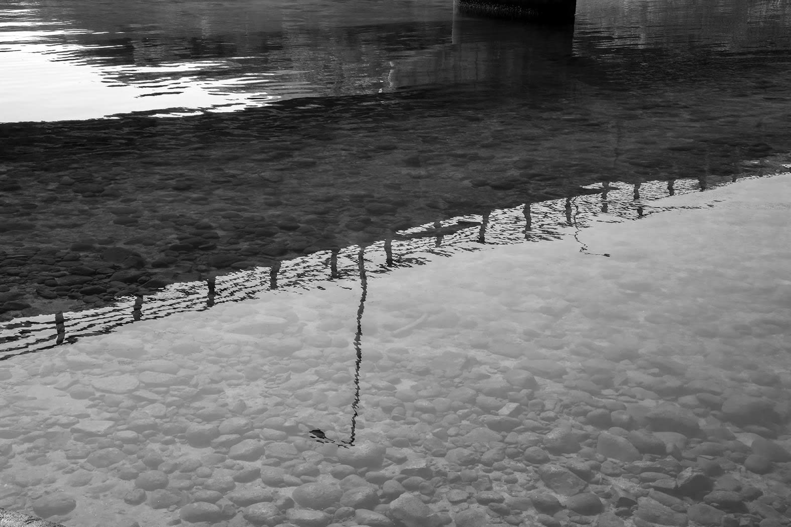 Anaïs Lopez, Reflection in the Kamo River, 2023