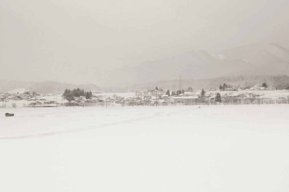 Yukari Chikura, Zaido 28, 2012-2017