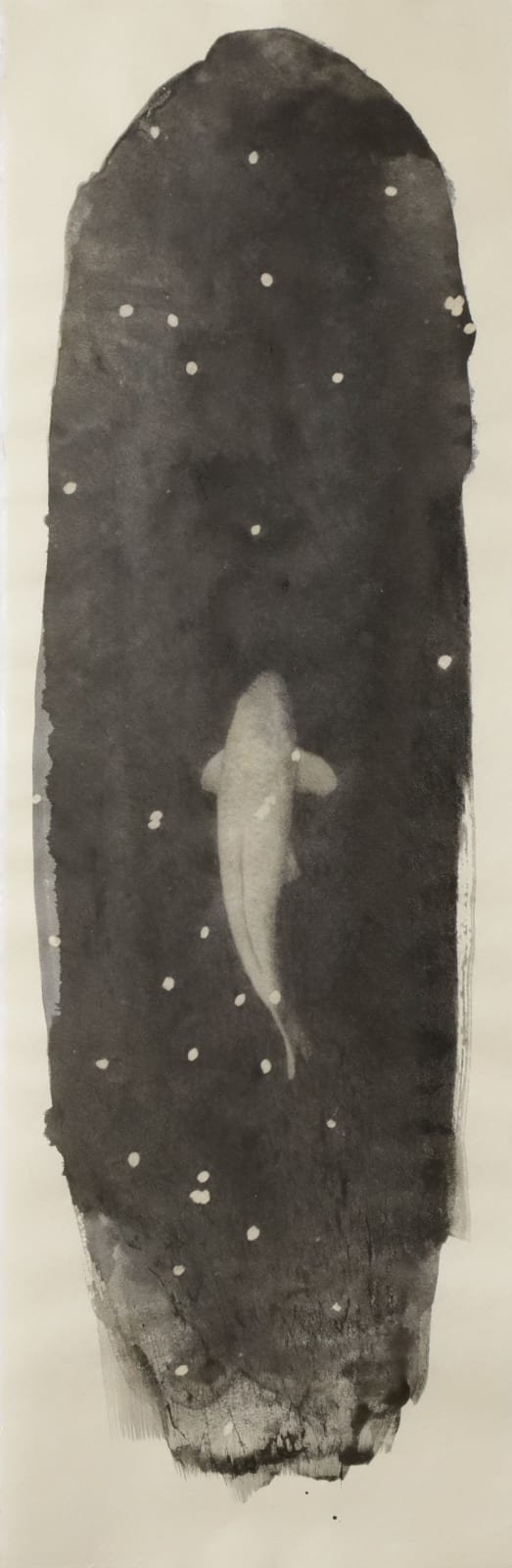 Naohiro Ninomiya, Nokomi-28, 2023