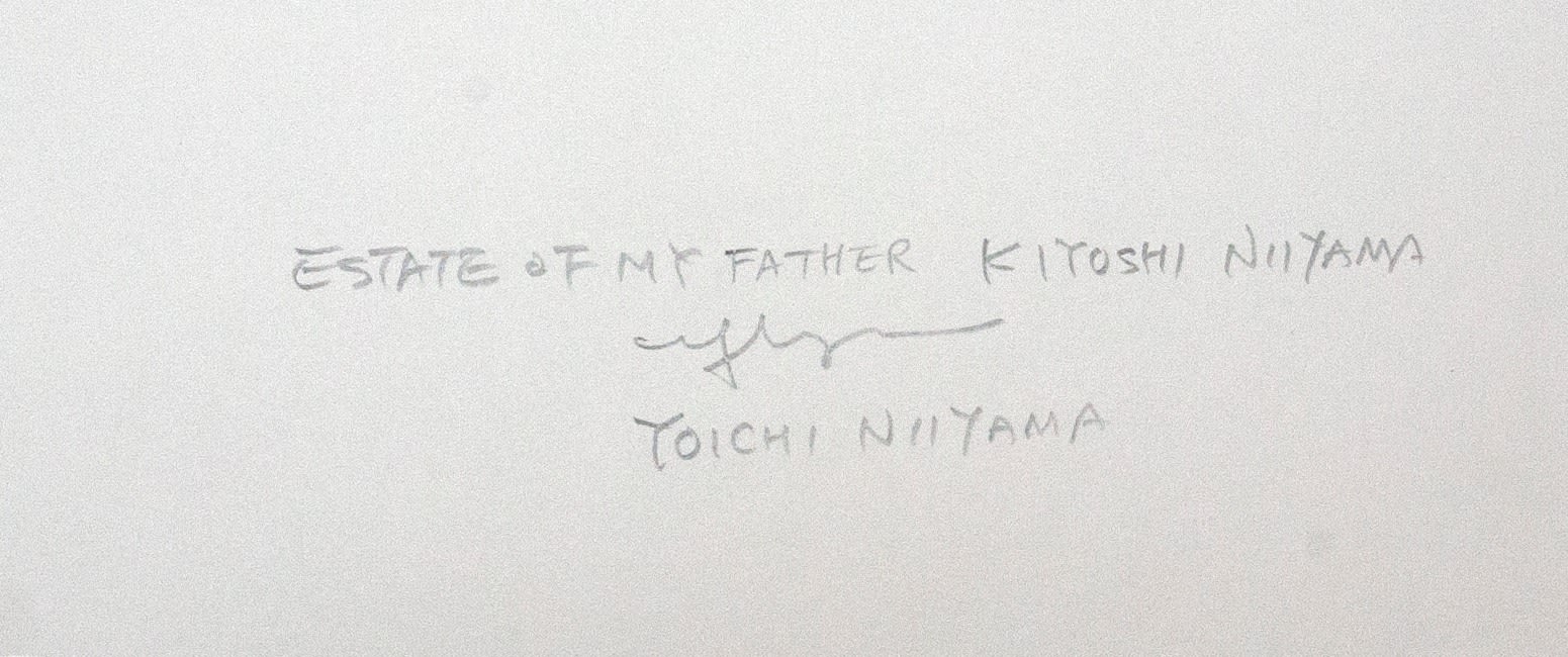 Kiyoshi Niiyama, Waterfall, 1946-1969