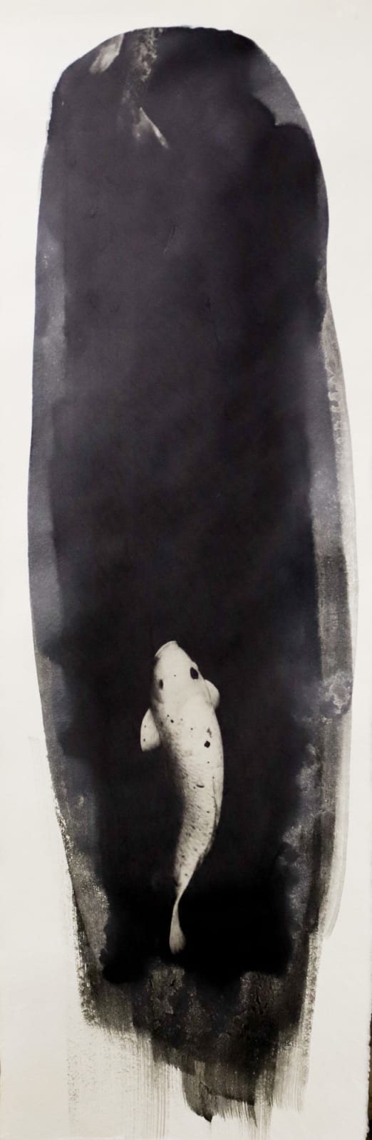 Naohiro Ninomiya, Nokomi-11, 2022