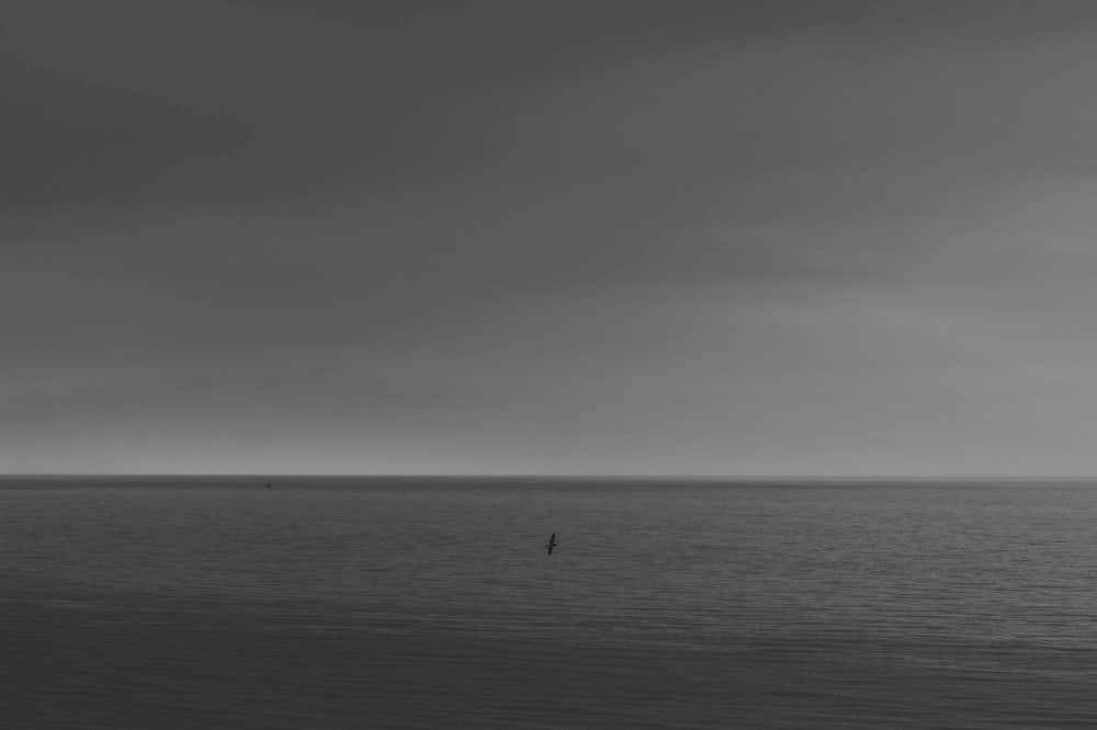 IBASHO Photo Competition 2016, Tine Guns - The Diver (page 30), 2014