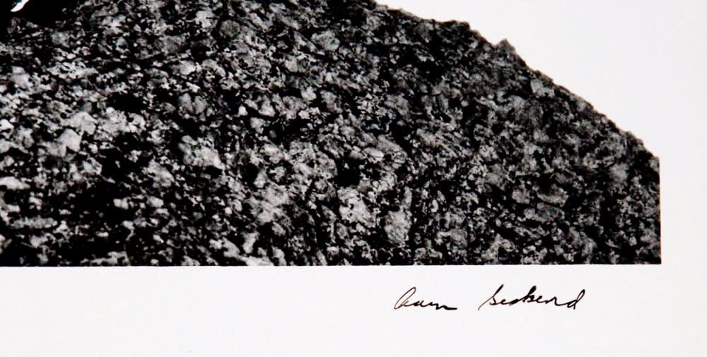 Various International Artists, Aaron Siskind - Martha's Vineyard III, 1954