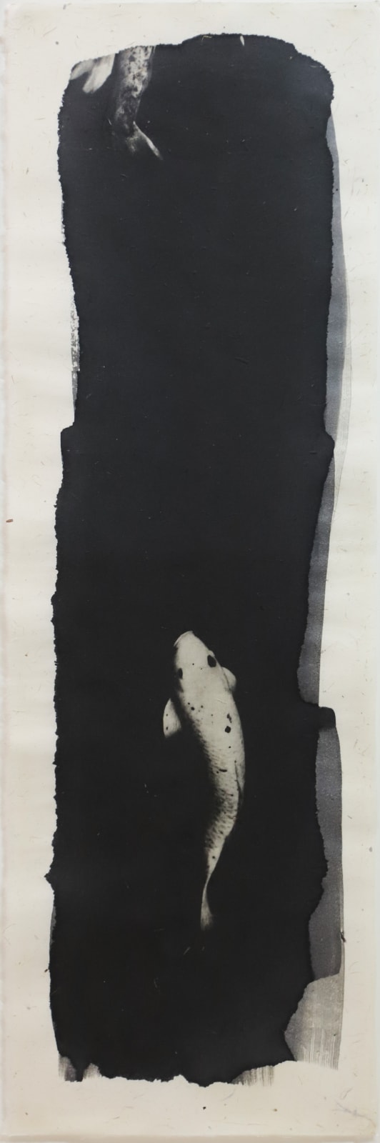 Naohiro Ninomiya, Nokomi-11, 2019