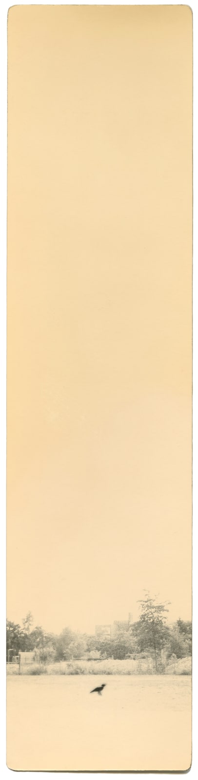 Miho Kajioka, BK0020, 2003