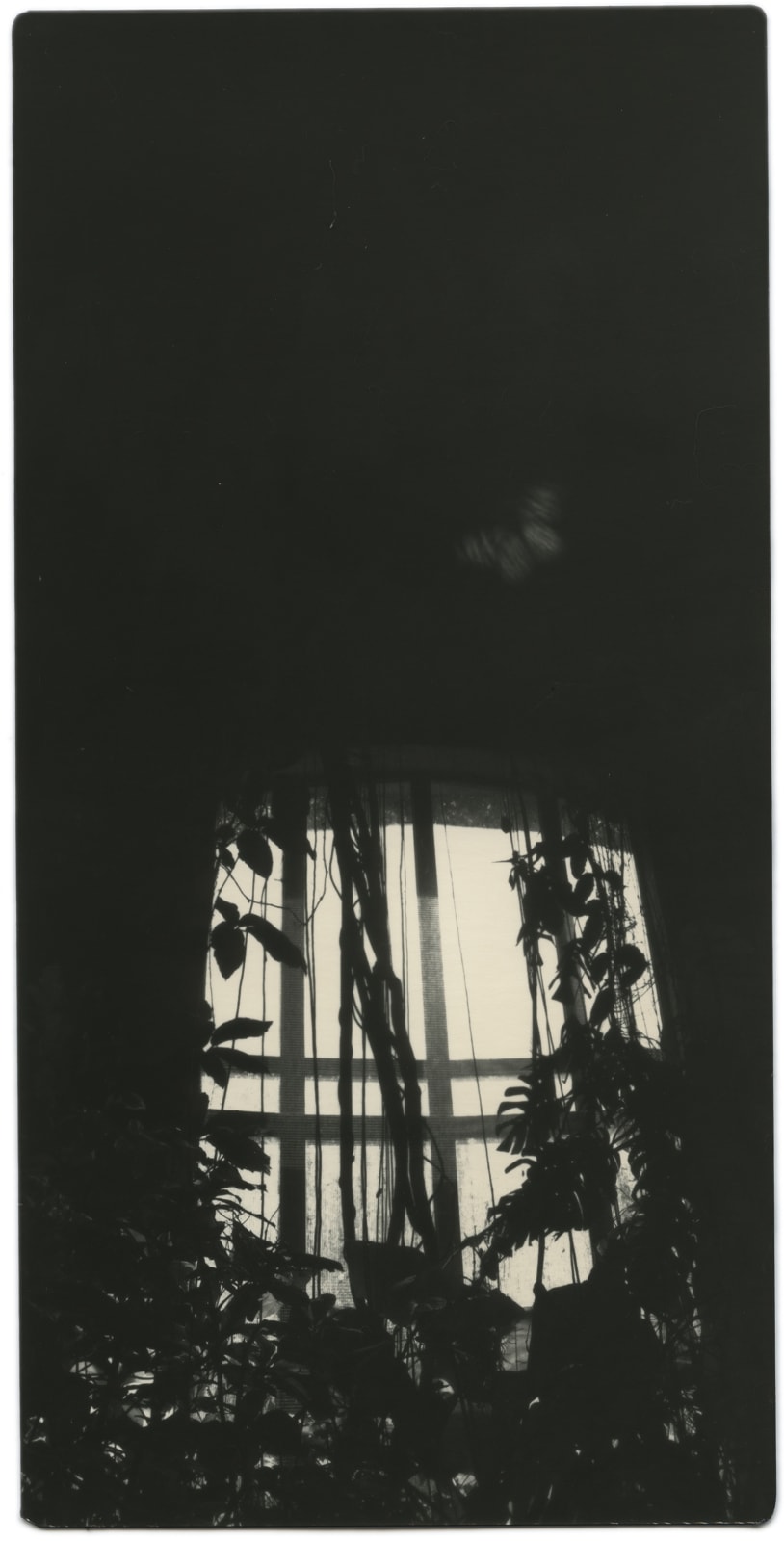 Miho Kajioka, BK0342, 2018