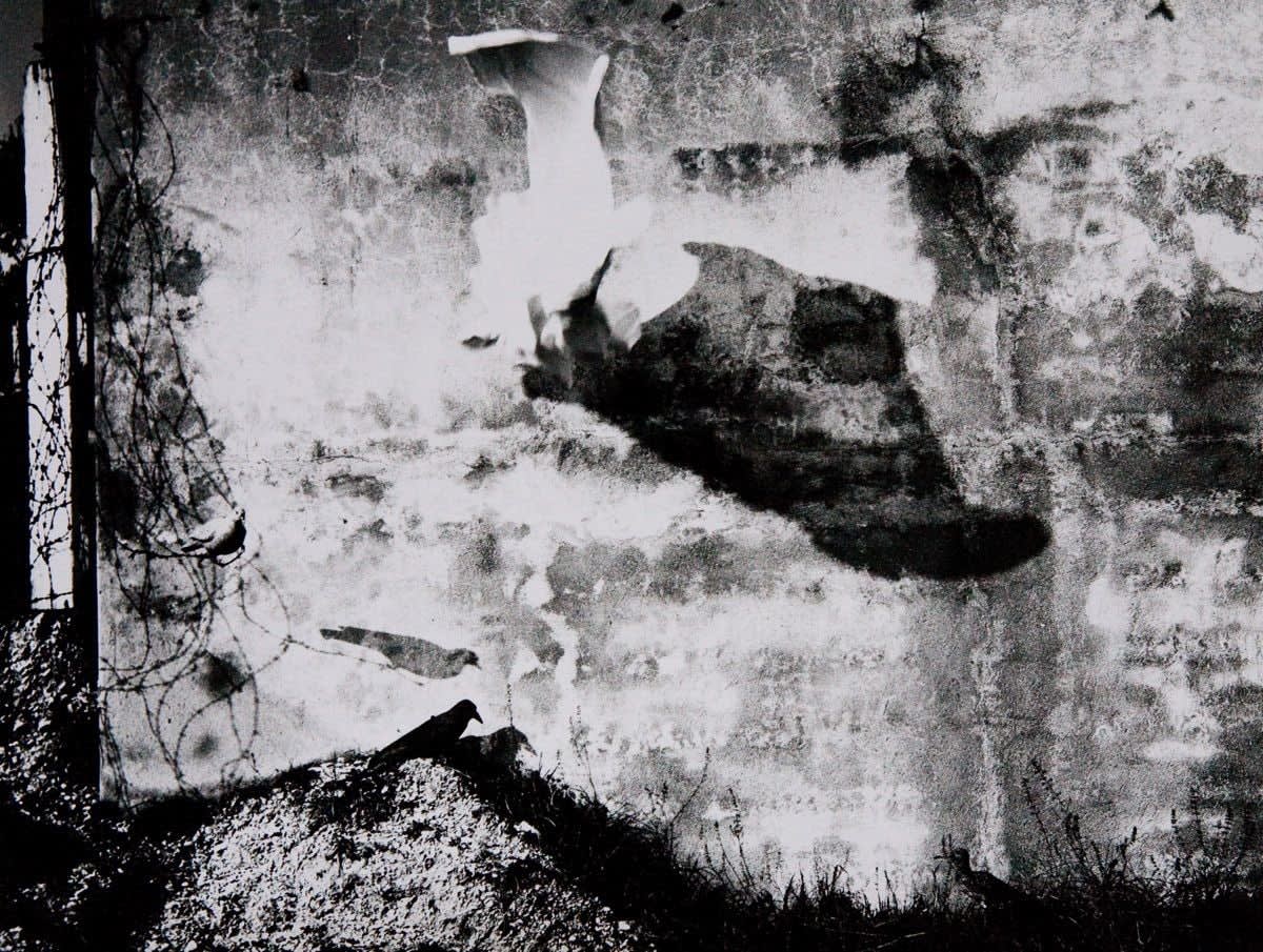 Various International Artists, Mario Giacomelli - Felicita raggiunta, si cammina di Eugenio Montale, 1992
