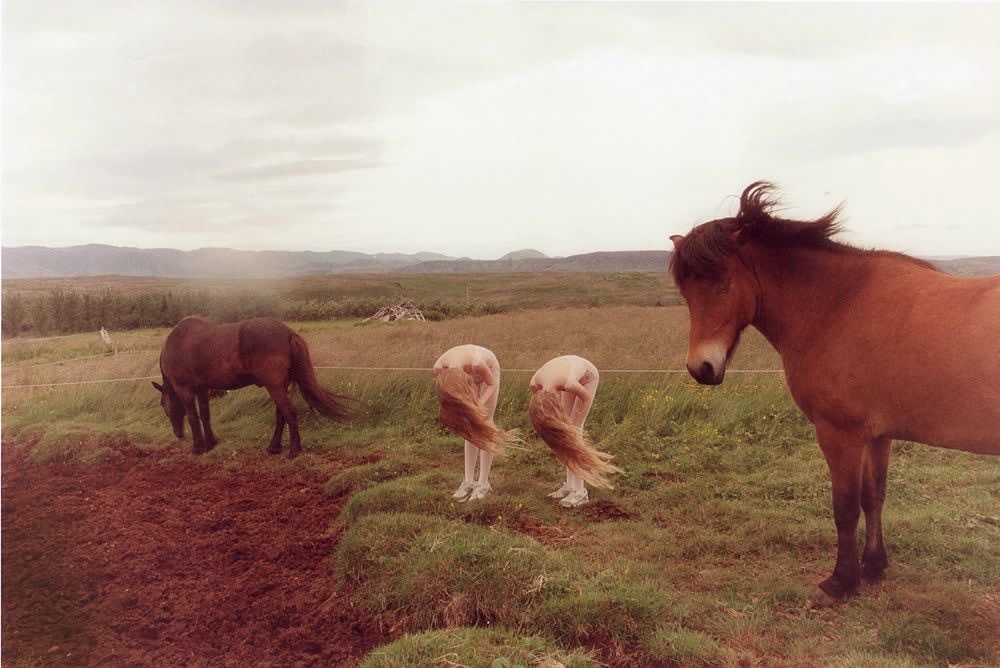 Ariko Inaoka, Eagle & Raven - Wind, 2011