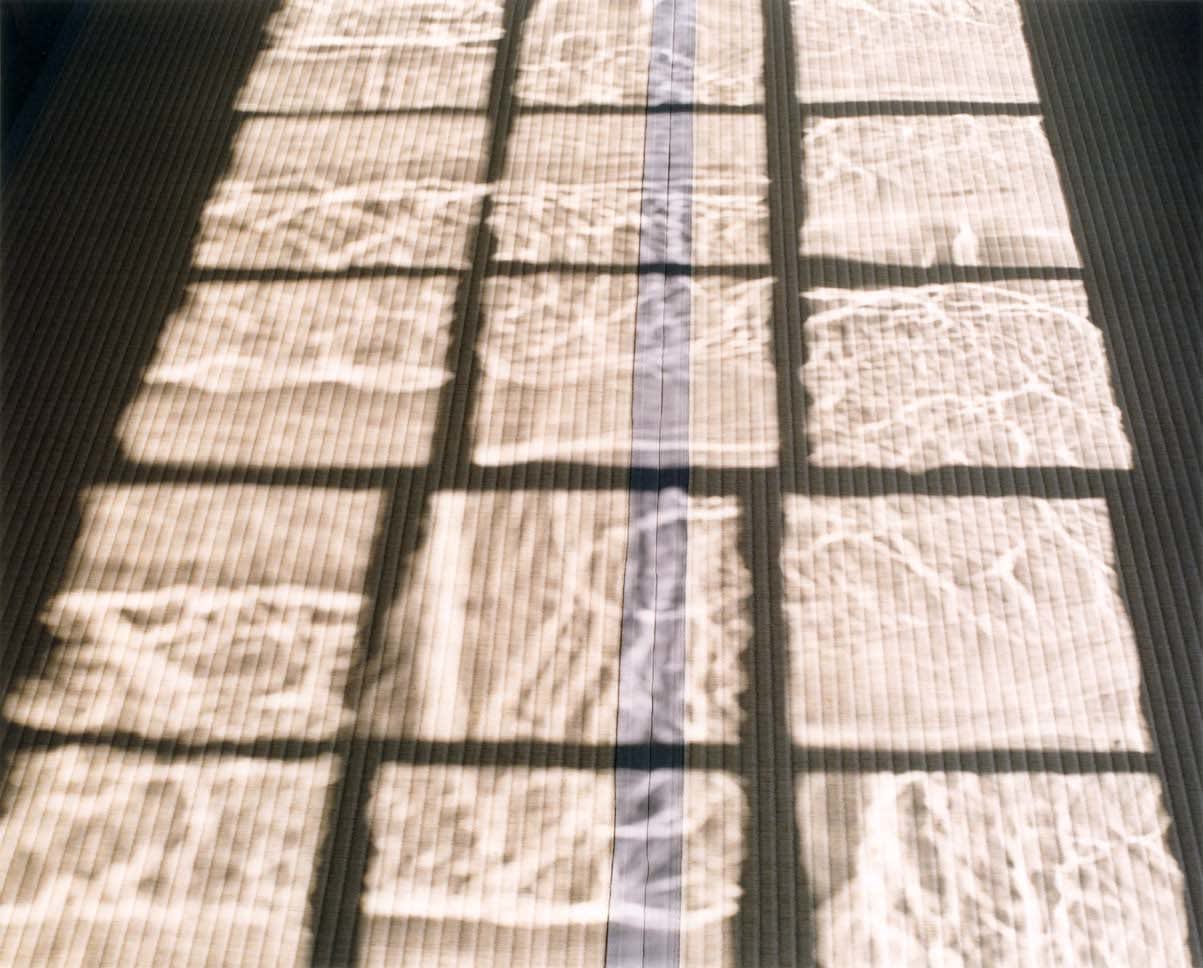 Yoko Ikeda, 1513-04 Numazu City Shizuoka Prefecture, 2017
