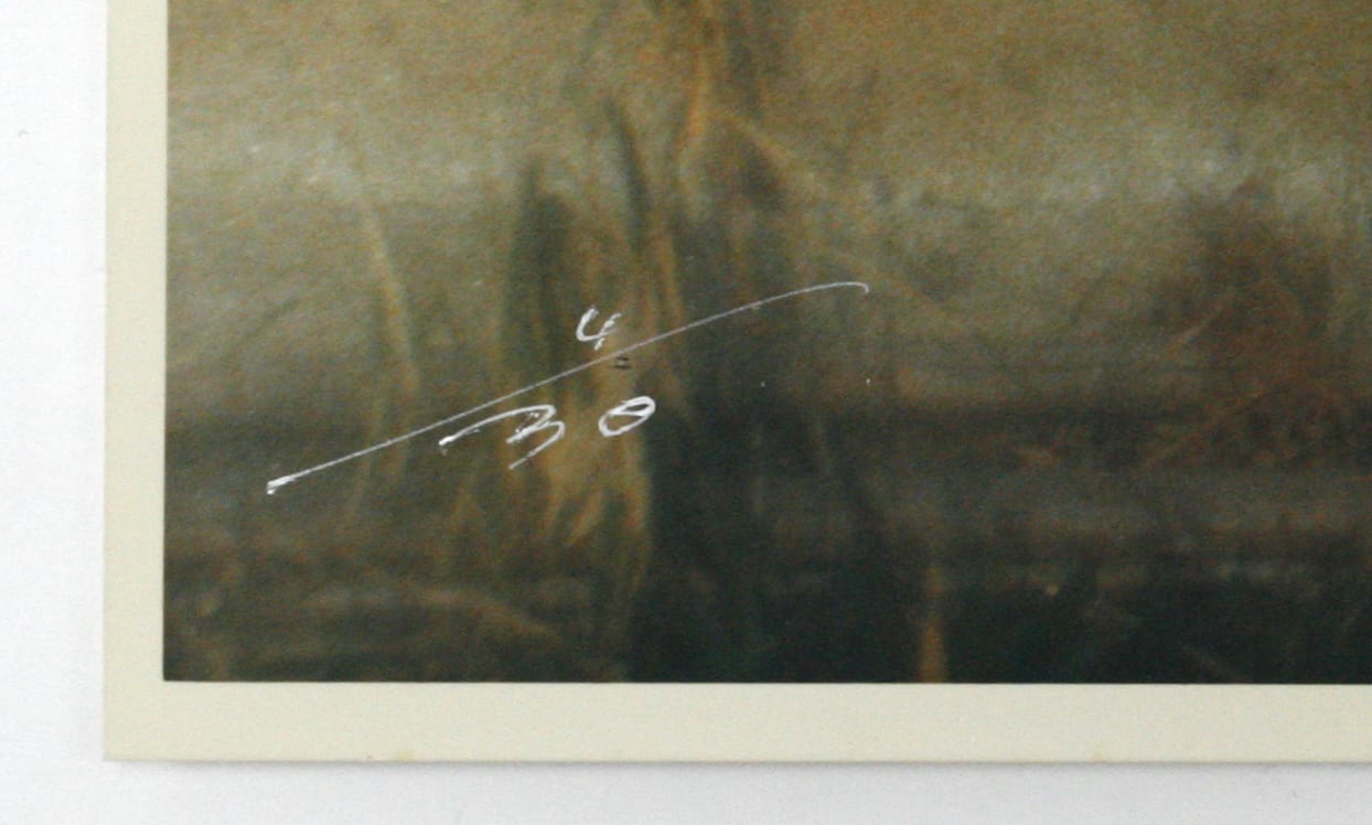 Various Japanese Artists, Shoji Ueda - Untitled from Brilliant Scenes, 1980s