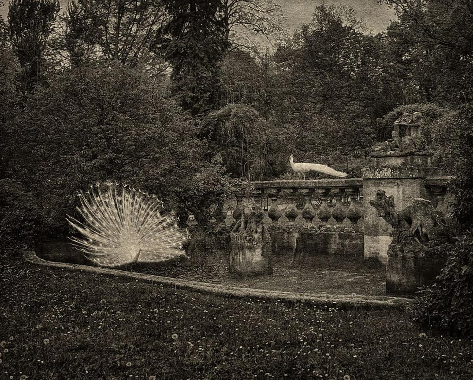 FLORE, FL-9343 Décor pour un vase chinois,, 2023