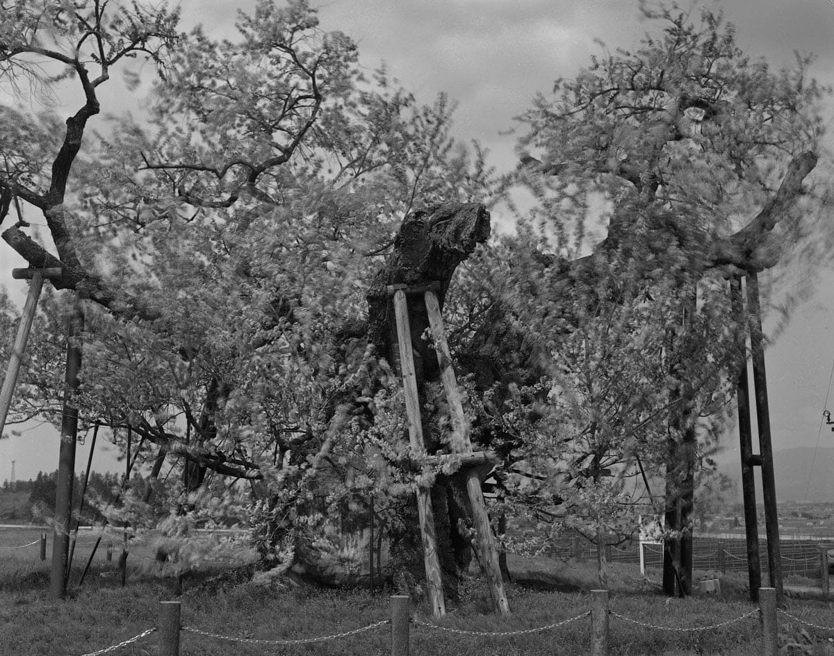 Keiichi Ito, Okitama Yamagata-ken, 2012