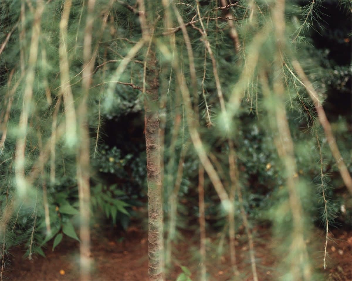 Yoko Ikeda, 0978-04 Minato Ward, Tokyo, 2012