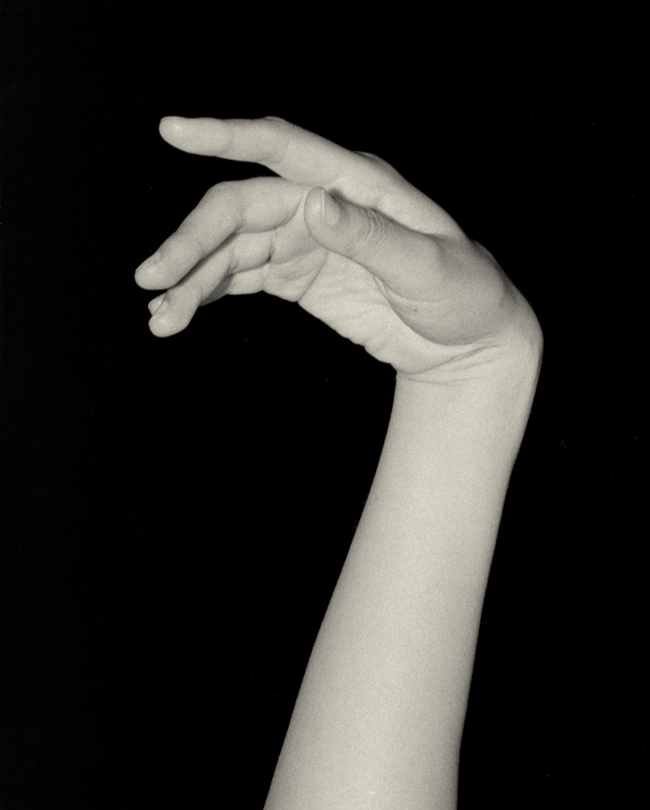 Sayuri Ichida, Absentee #275, 2021