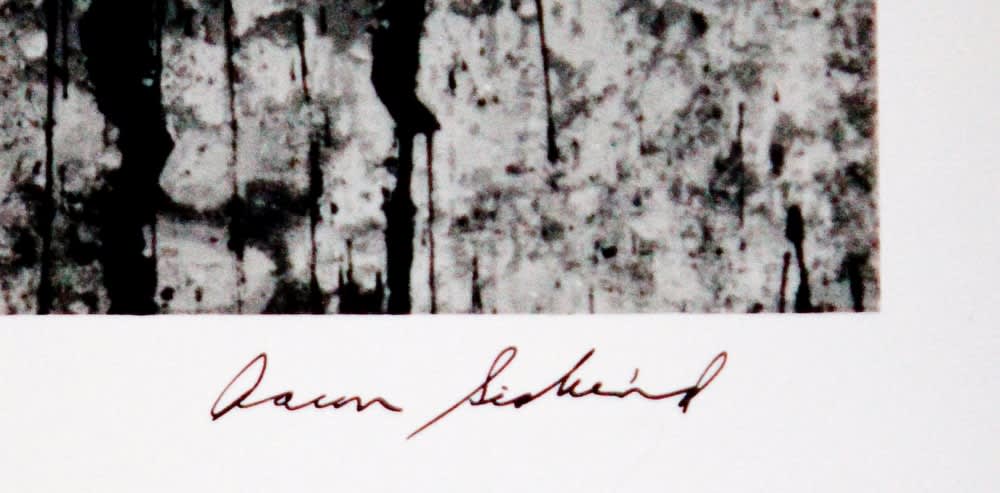 Various International Artists, Aaron Siskind - Arizpe 18, 1966