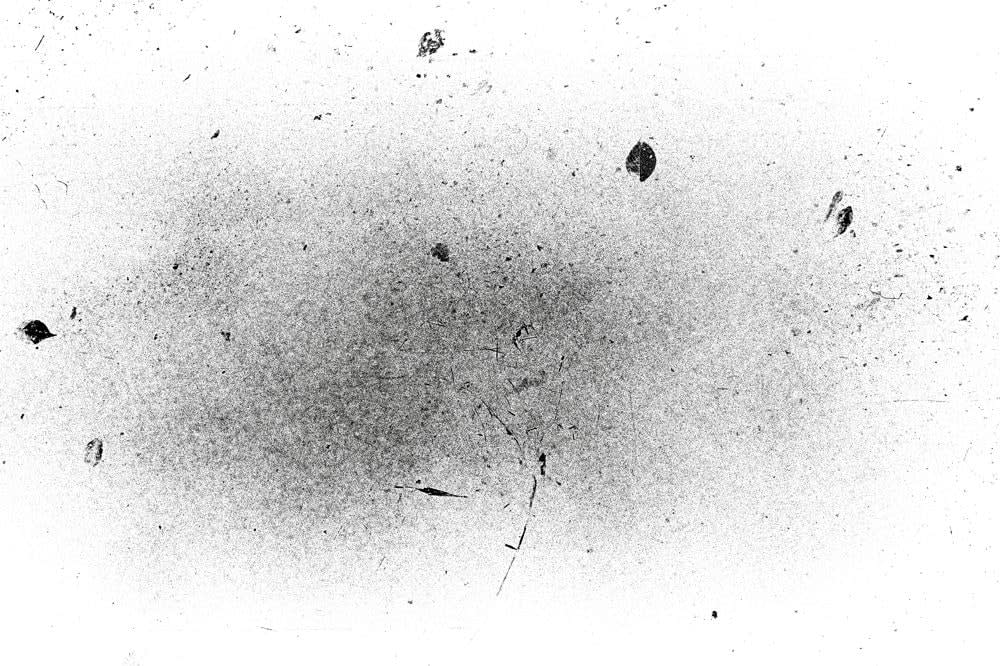 Margaret Lansink, Minute Traces, 2017