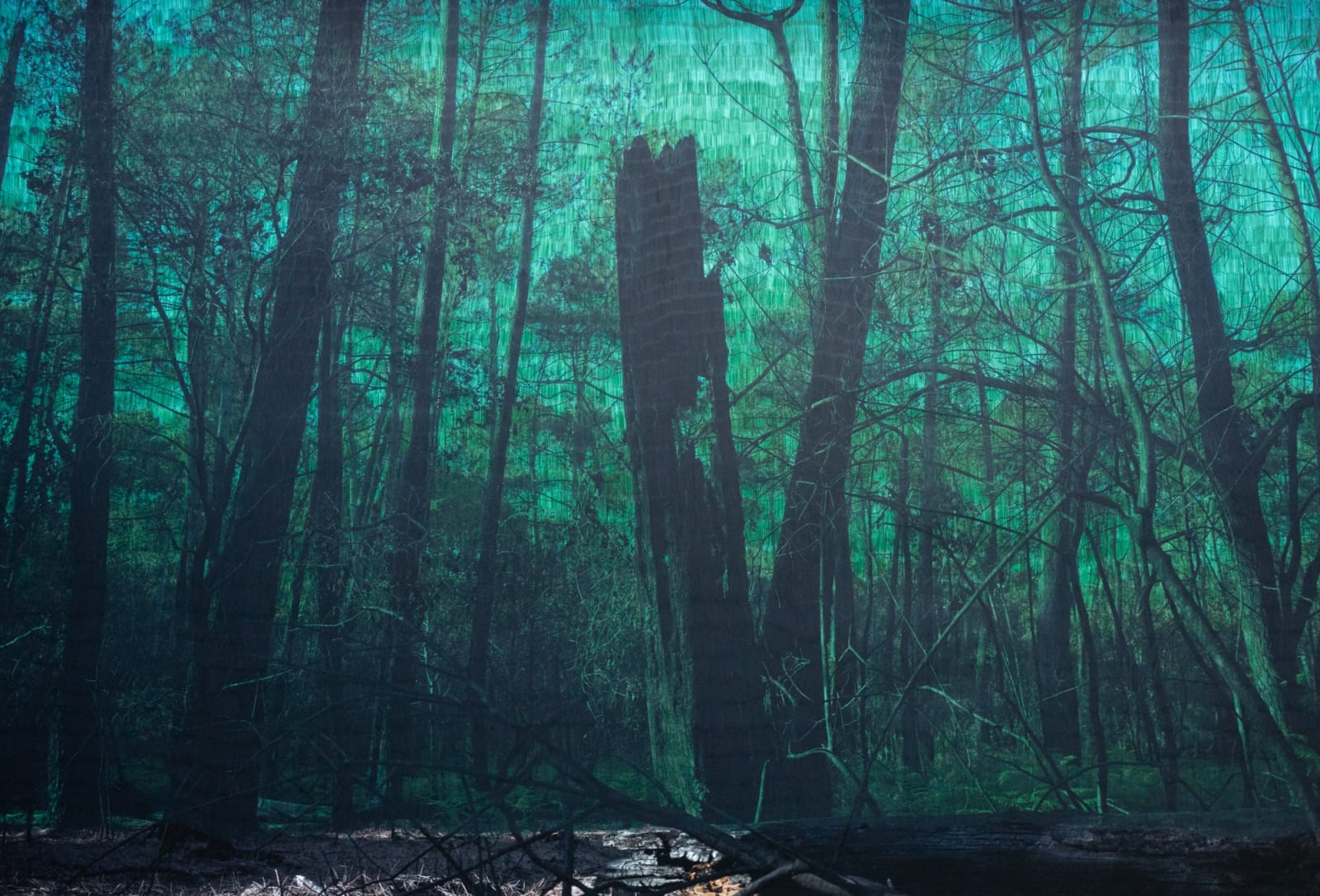 Morvarid K, This Too Shall Pass 1-6, 2023