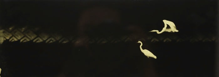 Naohiro Ninomiya, Glanage-35, 2020