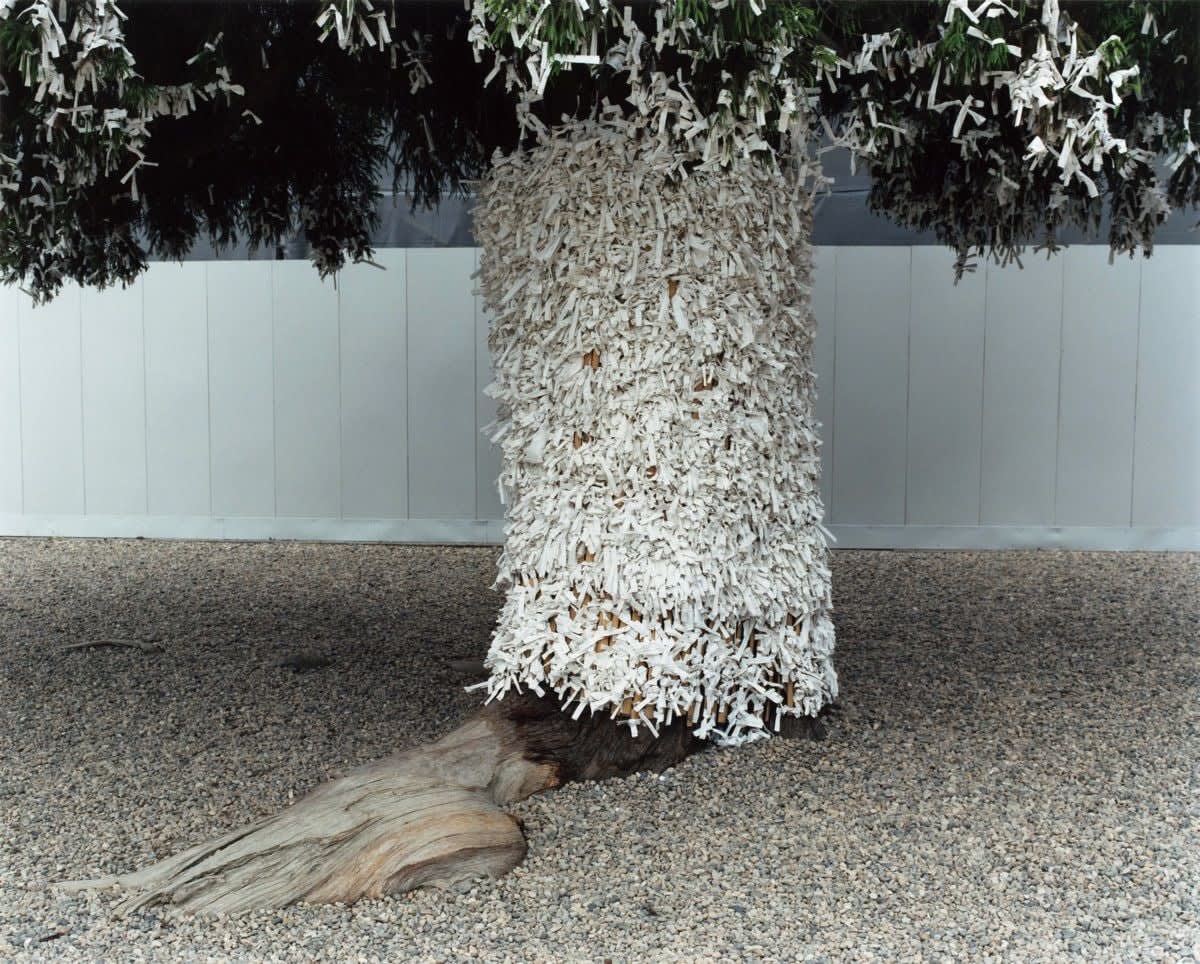 Yoko Ikeda, 1165-04 Izumo City, Shimane Prefecture, 2014