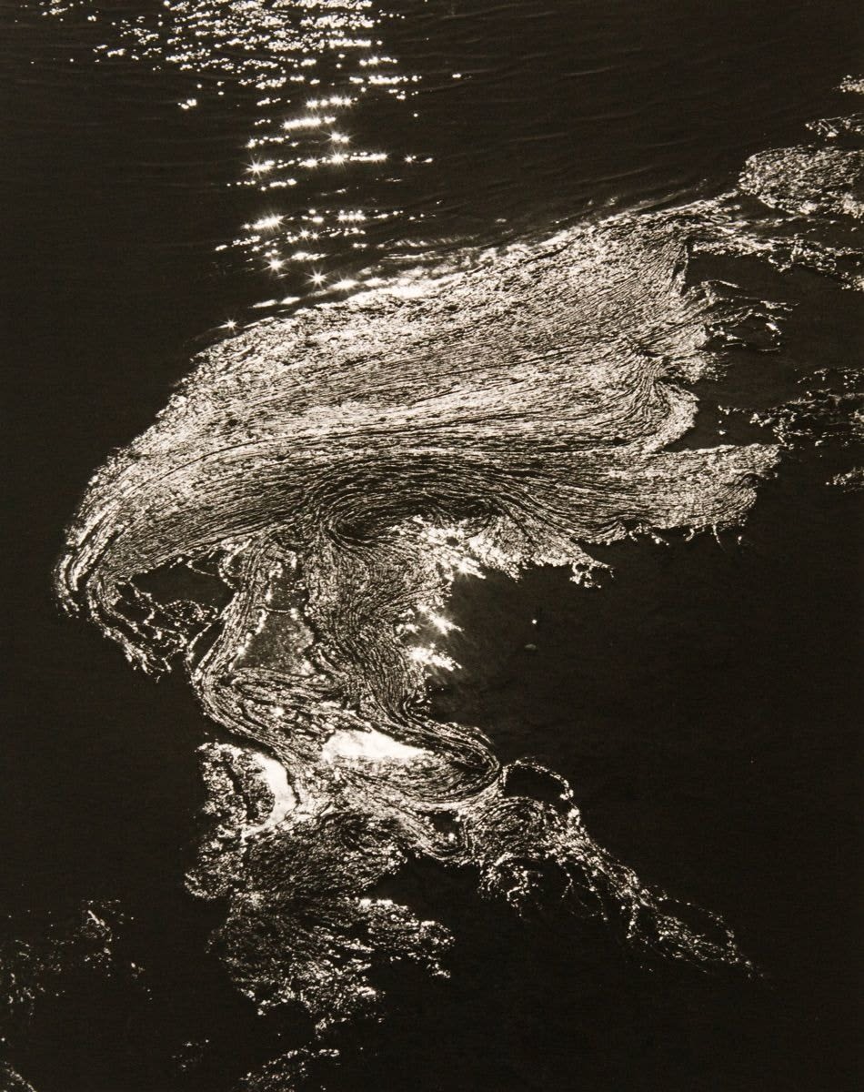 Various International Artists, Lucien Clergue - Algues et marsse, from the series Camargue Secret, 1965