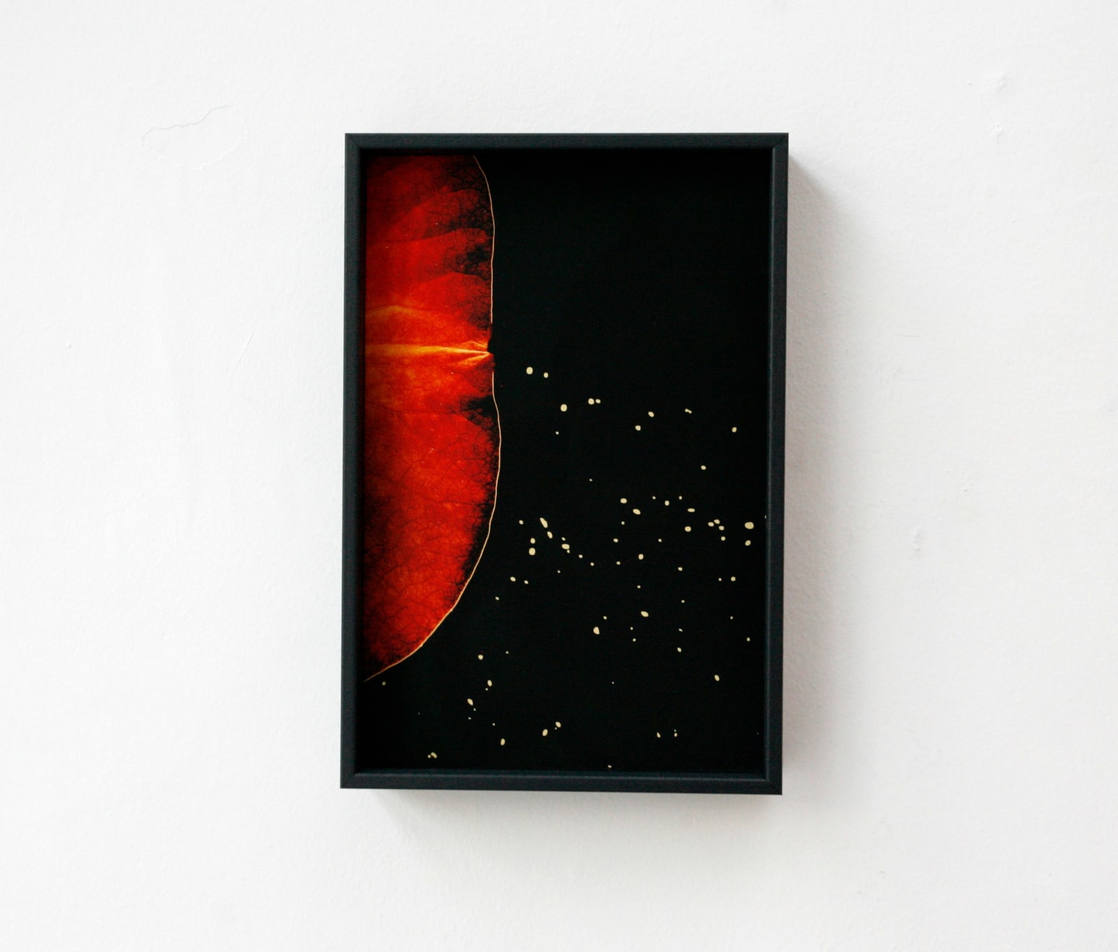 Paul Cupido, Minamoto, 2019