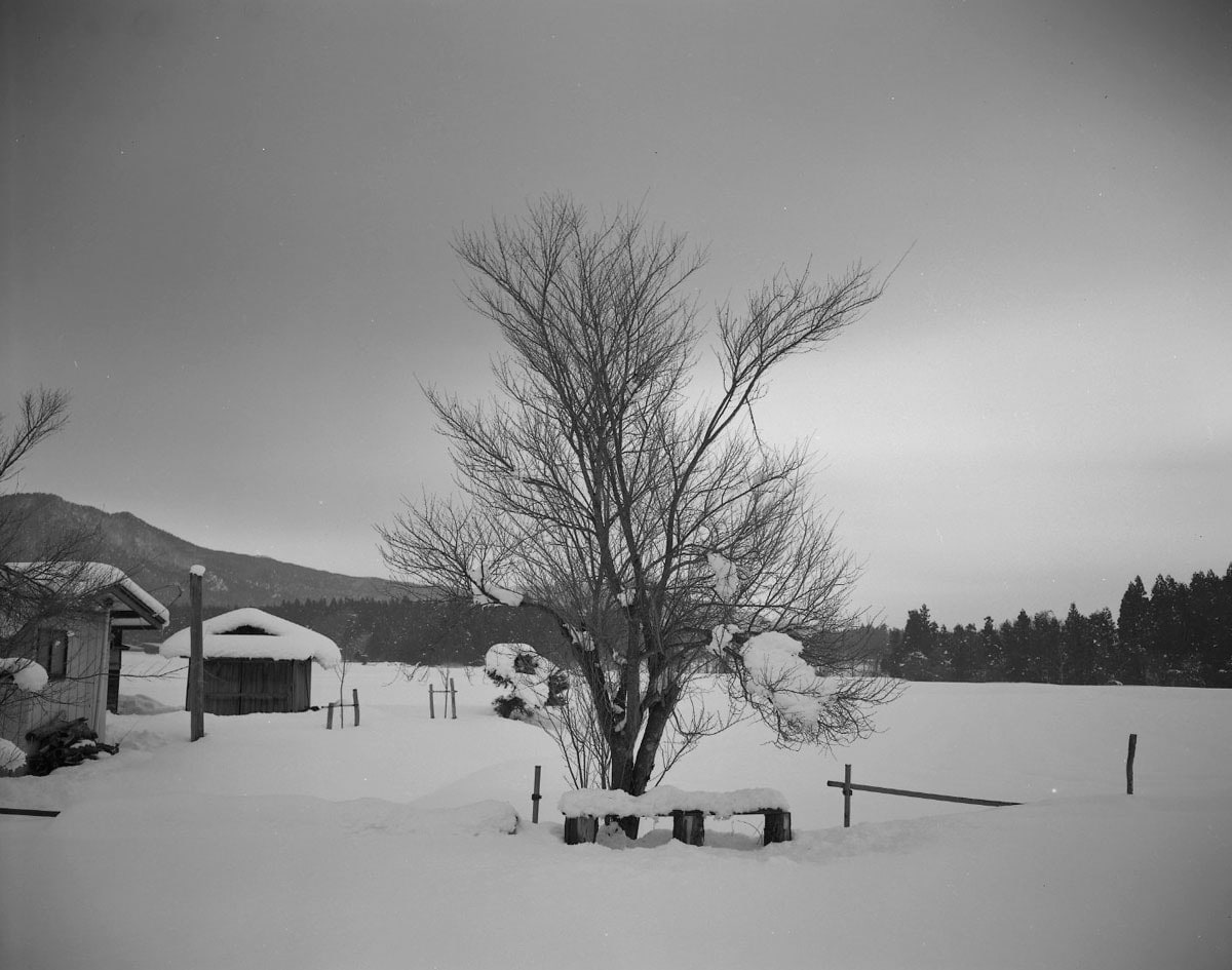 Keiichi Ito, Okitama Yamagata-ken, 2012