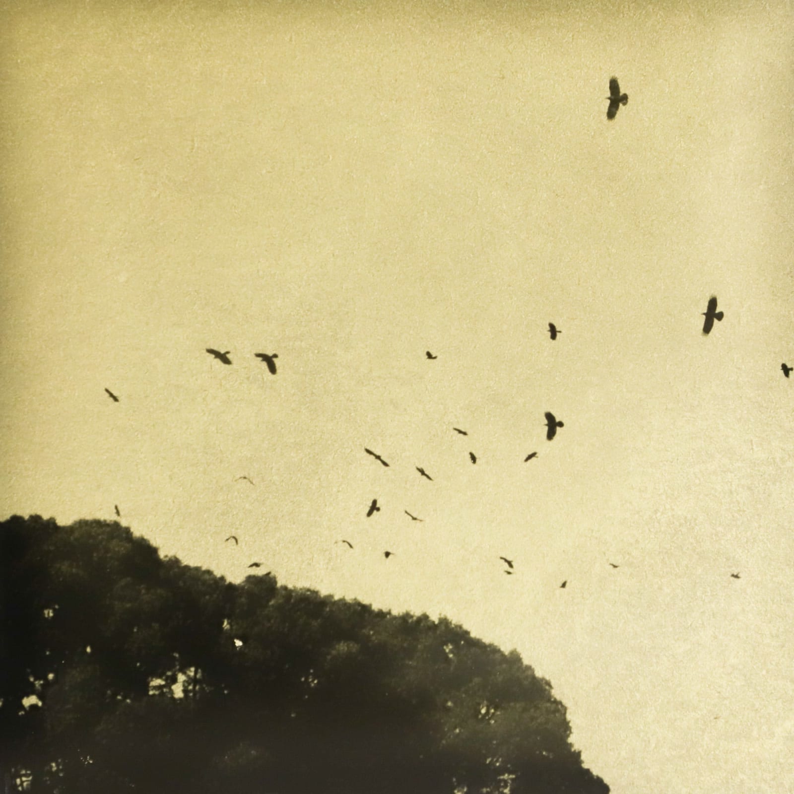 Naohiro Ninomiya, Glanage-71, 2023