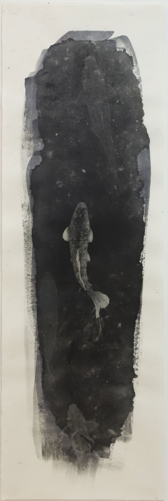 Naohiro Ninomiya, Nokomi-8, 2016