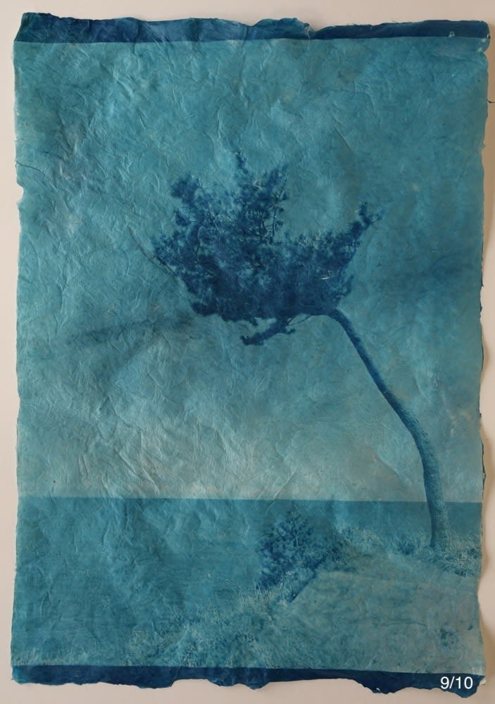 Mika Horie, The harmony with the wind, 2019