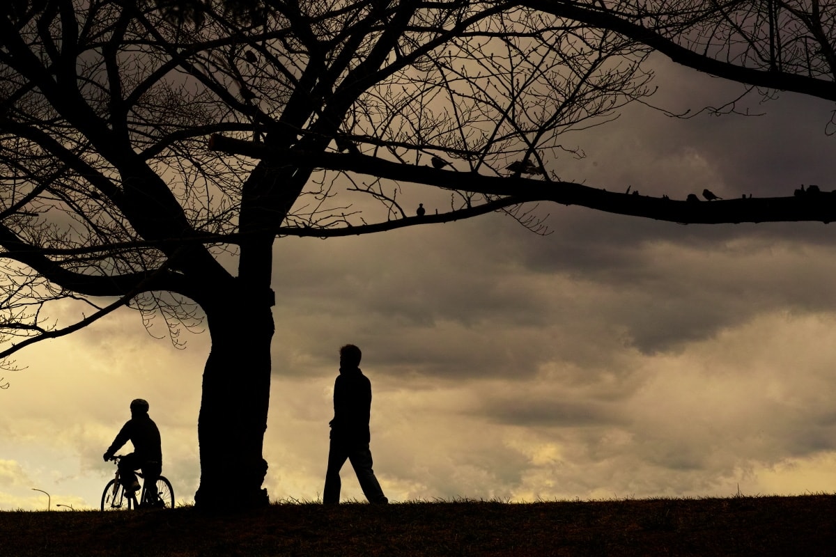 Sudi, Untitled 26, 2022