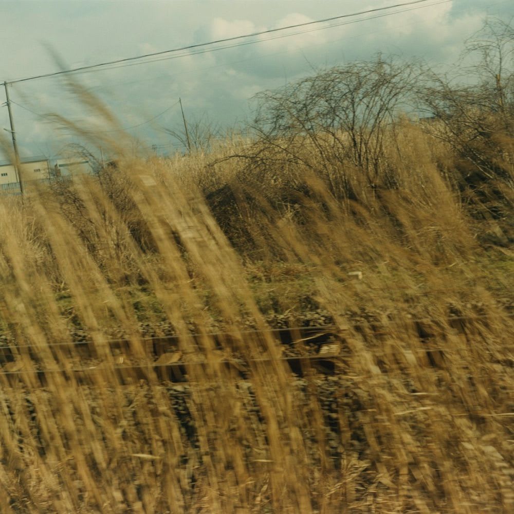 Mikiko Hara, Change #116: Untitled from 'Fringes of Humoresque', 2006