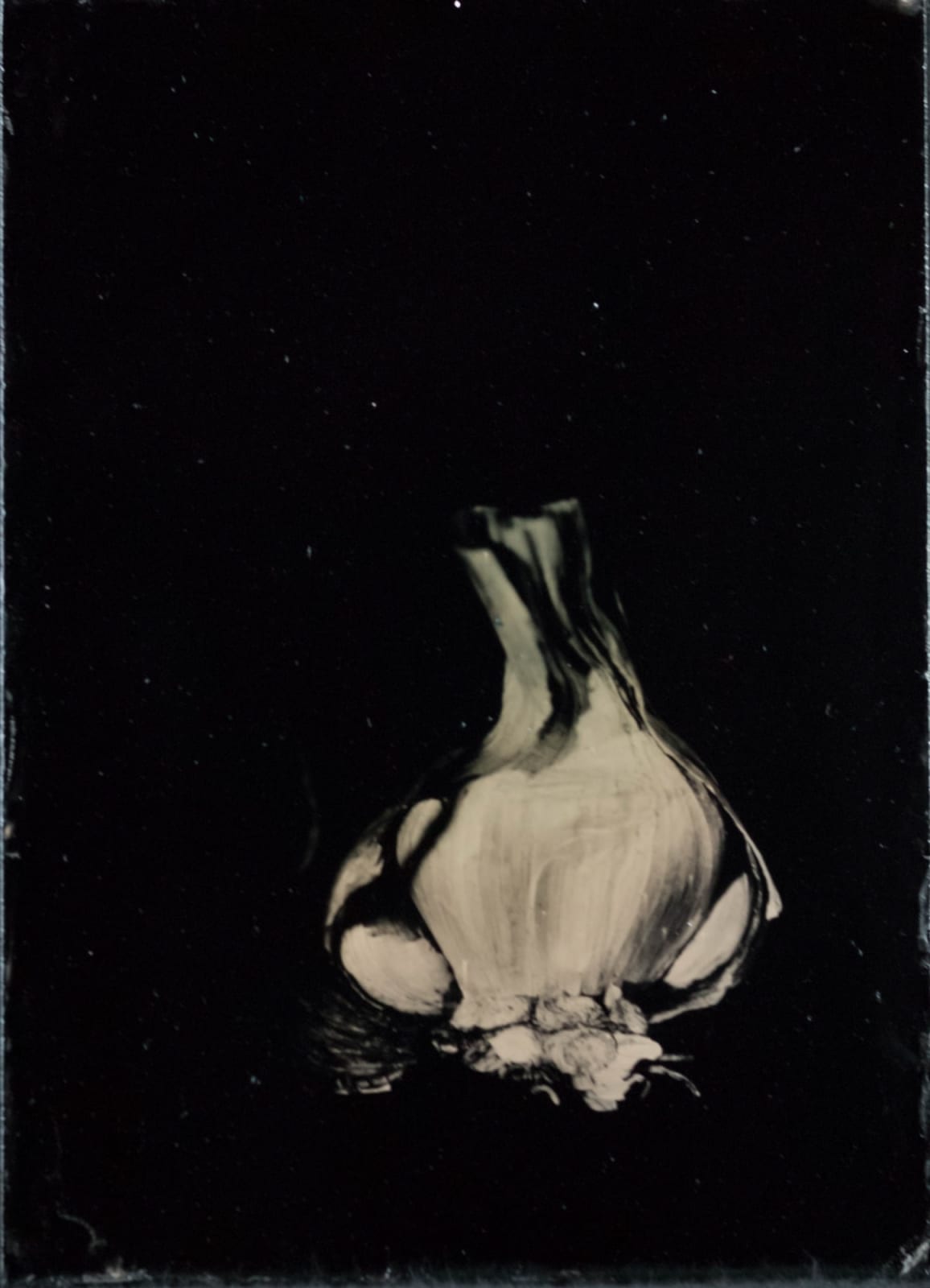 Steffen Diemer, 1195