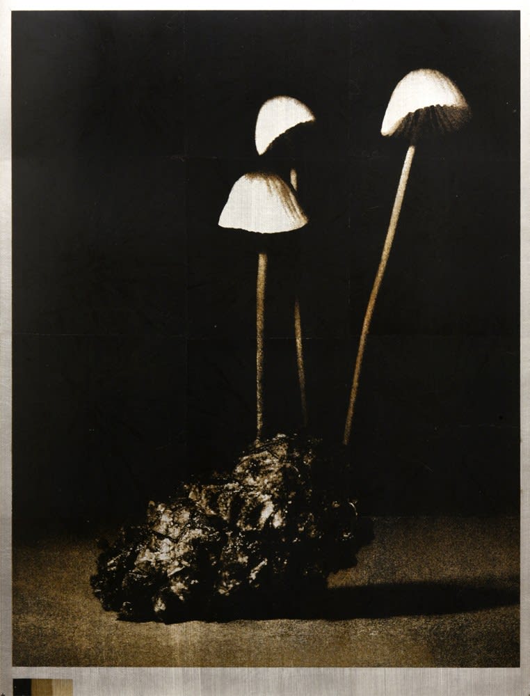 Norio Takasugi, KZR-1, 2022