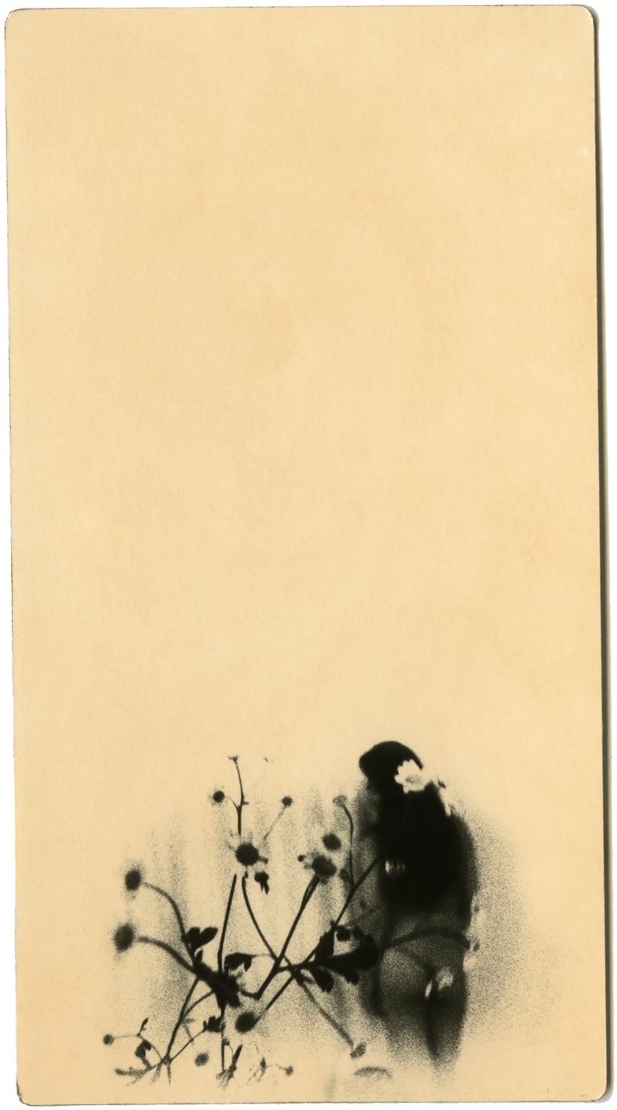 Miho Kajioka, BK0469, 2019