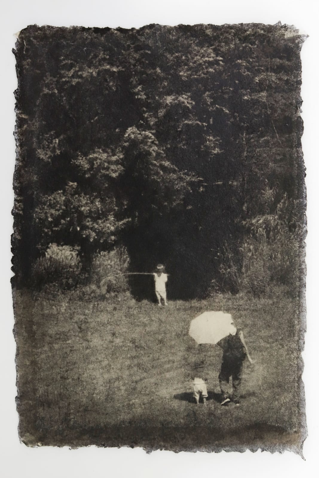 Naohiro Ninomiya, Ephemeral Moment-4, 2025