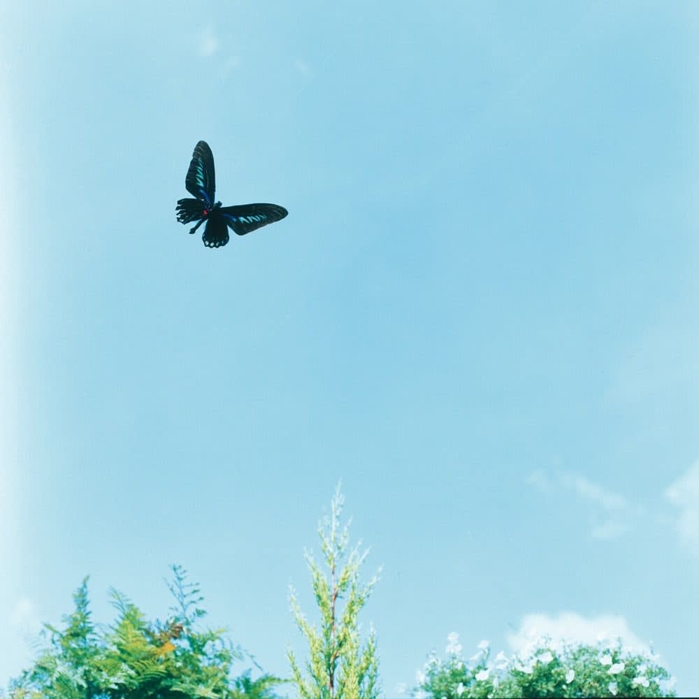 Hiromi Kakimoto, Little World #27, 2001-2004